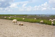 <p>Nordsee Wangerland</p>