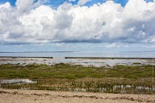 <p>Nordsee Wangerland</p>